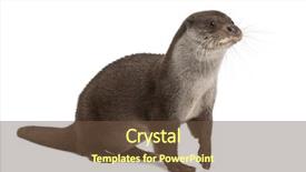  Presentation with old - Slide deck having european otter lutra lutra 6 background and a tawny brown colored foreground