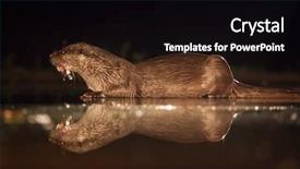  Presentation with european sovereign debt - PPT layouts enhanced with european otter lutra lutra fishing background and a black colored foreground