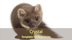  Presentation with pink and white - PPT layouts enhanced with tv shopping channel - mass media communication old style background and a soft green colored foreground.