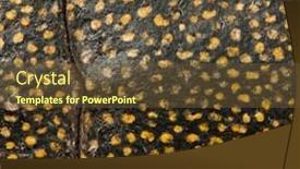  Presentation with turtle - Theme featuring european-pond-turtle-emys-orbicularis background and a tawny brown colored foreground