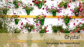  Presentation with cordoba - PPT theme featuring european town patio festival cordoba background and a yellow colored foreground