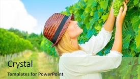  Presentation with winery - Beautiful theme featuring european travel - woman pluck grape backdrop and a mint green colored foreground