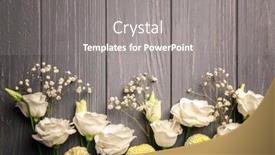  Presentation with chrysanthemum - Beautiful presentation theme featuring eustoma-gypsophila-and-chrysanthemum backdrop and a gray colored foreground