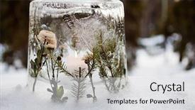  Presentation with ice frozen - Cool new theme with even christmas flower - ice lantern with red frozen backdrop and a light gray colored foreground