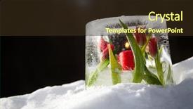  Presentation with ice frozen - Theme with even christmas flower - ice lantern with red frozen background and a  colored foreground
