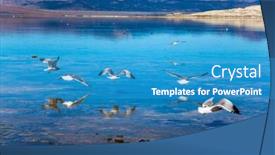  Presentation with towers - Colorful theme enhanced with evening by the lake great number of various birds nest on coast picturesque mono lake with lime-tuff towers usa the concept of active ecological exotic and photo tourism backdrop and a teal colored foreground