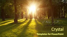  Presentation with summer trees - PPT theme featuring evening in spring forest background and a tawny brown colored foreground