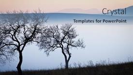  Presentation with solar tree evening landscape - Cool new slides with evening-mist-on-a-field backdrop and a light blue colored foreground