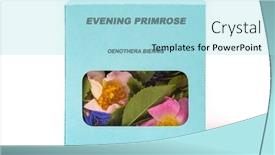  Presentation with herbs - Presentation theme having evening-primrose-medicinal-herbs background and a arctic colored foreground