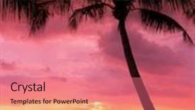  Presentation with scene - Presentation theme with evening scene tree silhouettes background and a coral colored foreground