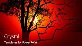  Presentation with sun - Cool new presentation with evening-scene-with-sunset-sun backdrop and a wine colored foreground