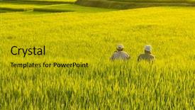  Presentation with rice fields - Amazing PPT theme having skeleton of a fish backdrop and a white colored foreground.