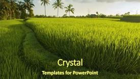  Presentation with bali culture - PPT theme having evening sunset bali indonesia background and a tawny brown colored foreground