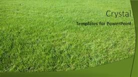  Presentation with spring - Beautiful theme featuring evenly-trimmed-spring-green-grass backdrop and a yellow colored foreground