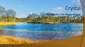  Presentation with swamp - Audience pleasing slide set consisting of bald cypress trees in a florida swamp backdrop and a light blue colored foreground