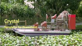  Presentation with florida - Slides having propellar vessel - everglades airboat in south florida background and a tawny brown colored foreground