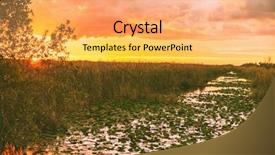  Presentation with wetland - Slide deck featuring everglades florida wetland airboat excursion background and a yellow colored foreground