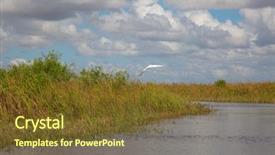  Presentation with orlando florida usa downtown city - PPT theme consisting of everglades national park florida usa background and a tawny brown colored foreground