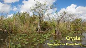  Presentation with orlando florida usa downtown city - Beautiful PPT layouts featuring everglades national park florida usa backdrop and a tawny brown colored foreground