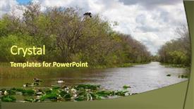  Presentation with florida - Colorful PPT theme enhanced with everglades national park florida usa backdrop and a tawny brown colored foreground