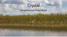  Presentation with florida - PPT layouts having everglades national park florida usa background and a light gray colored foreground