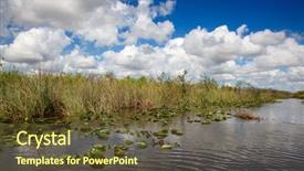  Presentation with florida - Amazing slide set having everglades national park florida usa backdrop and a tawny brown colored foreground