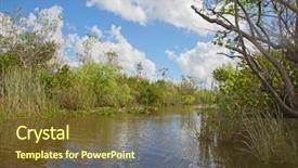  Presentation with florida - Beautiful PPT theme featuring everglades national park florida usa backdrop and a tawny brown colored foreground