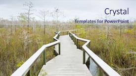  Presentation with florida - Beautiful presentation theme featuring everglades national park florida usa backdrop and a sky blue colored foreground
