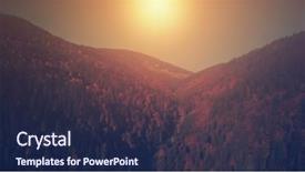  Presentation with forestry - Presentation theme consisting of sight evergreen coniferous wood overview background and a navy blue colored foreground