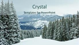  Presentation with winter evergreen forest - Cool new presentation with evergreen forest - fir trees covered with snow backdrop and a sky blue colored foreground