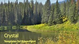  Presentation with tree sky trees green - Colorful theme enhanced with evergreen forest - silent mountain lake surrounded backdrop and a tawny brown colored foreground
