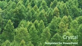  Presentation with cedar - Beautiful PPT theme featuring health club fitness gym room backdrop and a dark gray colored foreground.