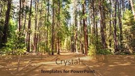  Presentation with yosemite - Presentation theme featuring evergreen pine forest at yosemite national park background and a red colored foreground