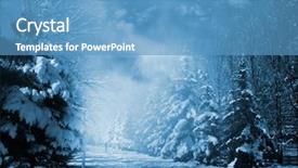  Presentation with winter - Audience pleasing slides consisting of evergreens at snowy winter park backdrop and a teal colored foreground