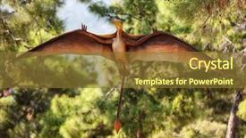  Presentation with evolution - Colorful slides enhanced with evolution biology - pterodactyl - prehistoric era wing backdrop and a tawny brown colored foreground