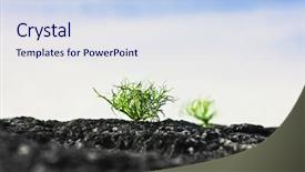  Presentation with abstract spring green - Amazing PPT theme having evolution survival - green sprout making its way backdrop and a sky blue colored foreground