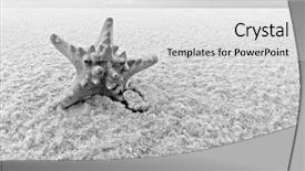  Presentation with survival - Colorful presentation enhanced with evolution survival - lone starfish in middle backdrop and a light gray colored foreground