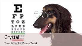  Presentation with exam - Audience pleasing presentation theme consisting of exam view chart of background backdrop and a  colored foreground