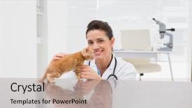  Presentation with veterinary medical symbol illustration caduceus - Slides having examining a cat in medical background and a  colored foreground
