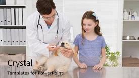  Presentation with vet - PPT layouts featuring examining a dog with its background and a  colored foreground