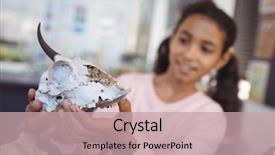  Presentation with laboratory animal science - Beautiful slides featuring examining animal skull at science backdrop and a coral colored foreground