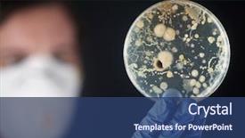  Presentation with petri dish - Audience pleasing theme consisting of examining bacteria in a petri backdrop and a ocean colored foreground