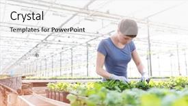  Presentation with nursery plant - Cool new slide set with examining herbs in plant nursery backdrop and a white colored foreground