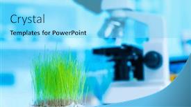  Presentation with plants growing - Presentation design having examining-the-impact-of-different and a arctic colored foreground