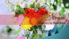  Presentation with flowers vase - Slide set consisting of excellent buttercup flowers in glass vase on wooden table on natural background background and a red colored foreground