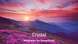  Presentation with blooming lotus flower of pink - Slide set with exceptional - charming pink flower rhododendrons background and a violet colored foreground