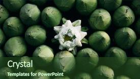  Presentation with spiritual - Colorful presentation theme enhanced with exceptions - lotus flowers have special spiritual backdrop and a tawny brown colored foreground