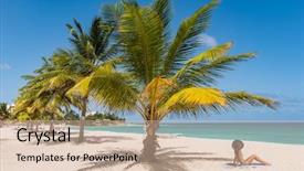  Presentation with palm beach - Theme having excursion - caribbean tropical beach destination background and a soft green colored foreground