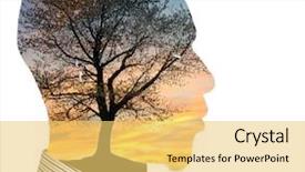  Presentation with tree - Presentation design featuring executive branch - man with tree and sky background and a yellow colored foreground