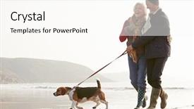 Presentation with senior couple - Presentation theme featuring exercising dogs - senior couple walking along winter background and a cream colored foreground